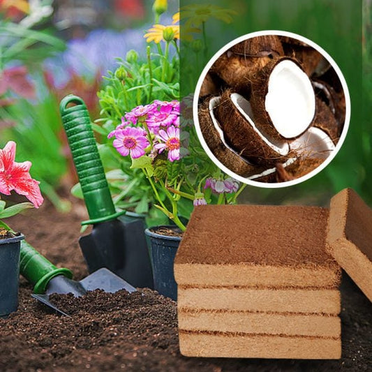 ✨ Premium Organic Coconut Coir Bricks for Plants