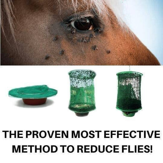 Reusable Ranch Fly Trap